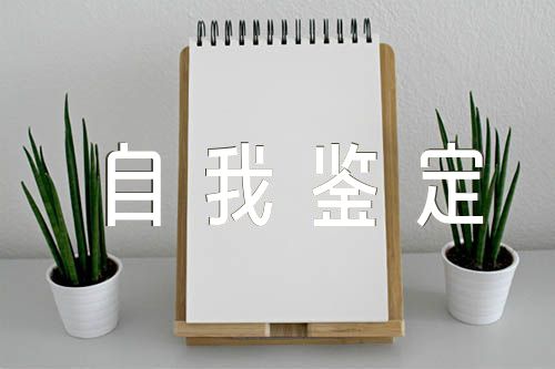 自我鉴定500字(通用8篇)