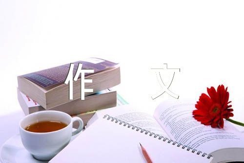 乡情作文800字范文(精选七篇)