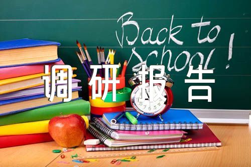 调研报告与主题教育对比【7篇】