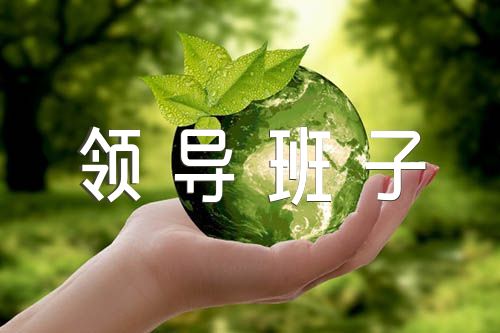 镇卫生院领导班子自我评价范文三篇