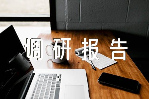 大學(xué)生鄉(xiāng)村振興調(diào)研報告(通用6篇)