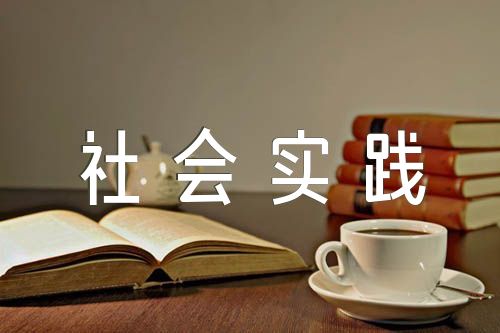 法院暑期实习社会实践报告(合集十三篇)