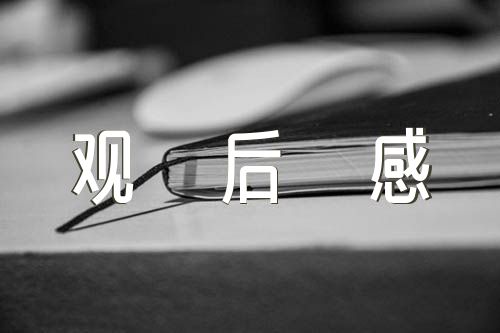国防故事观后感【4篇】