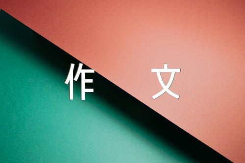 成功的实验初中作文精选十三篇