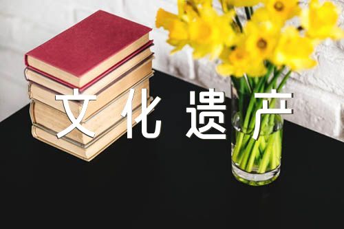 关于中国世界文化遗产小学随笔作文【六篇】