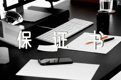 出了事自己负责的保证书(合集三篇)