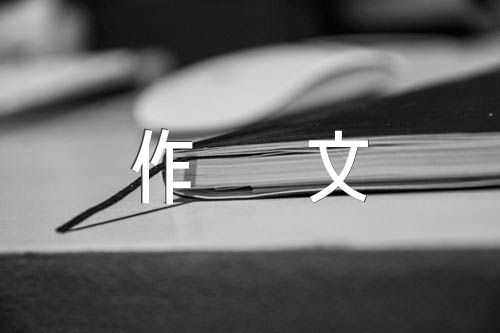总结高一展望高二作文800字精选三篇