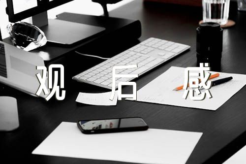 红领巾爱学习组队纪念日观后感