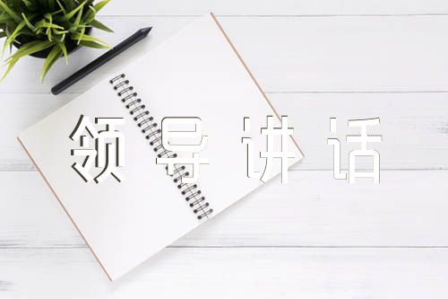 宣布处分决定领导讲话(通用4篇)