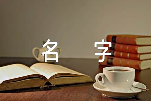 好听简约的游戏名字范文(精选四篇)