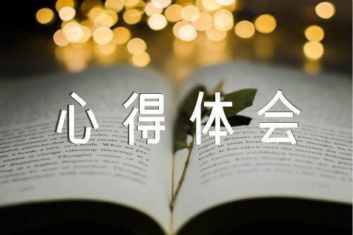 三警合一综合能力提升培训心得体会三篇