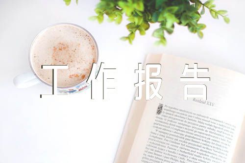 述法工作报告范文六篇