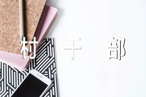 关于驻村干部个人总结【五篇】