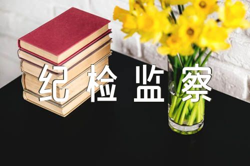 开展全国纪检监察干部队伍教育整顿的意见集合5篇
