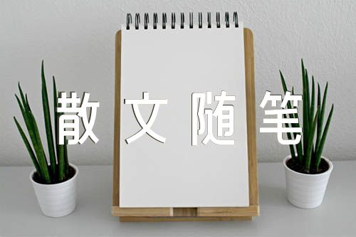 赞美向日葵的散文随笔汇编5篇