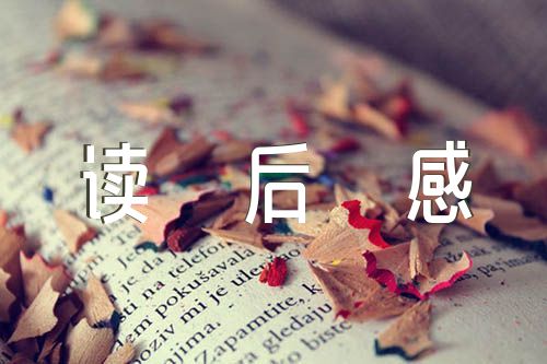 长征胜利万岁读后感精选五篇
