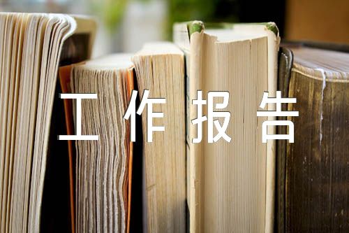 企业年度经济工作报告民办非企业单位年度工作报告(通用4篇)