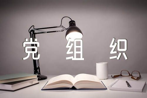 基层党组织存在的问题及整改措施范文(精选7篇)