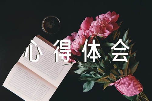 2023年大学生村官工作心得体会(通用4篇)