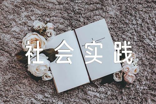 思想道德與法治社會(huì)實(shí)踐報(bào)告【九篇】