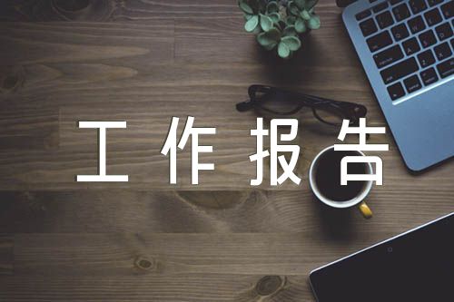 人大常委会工作报告讨论发言范文汇总六篇