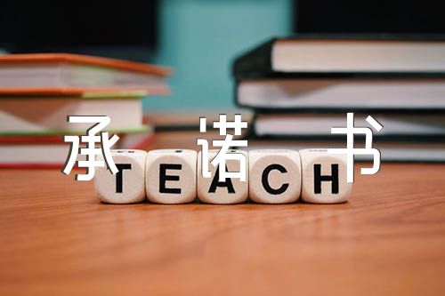全体投资人承诺书范文(精选5篇)