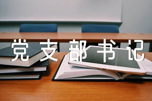 党支部书记落实巡察整改情况报告精选8篇