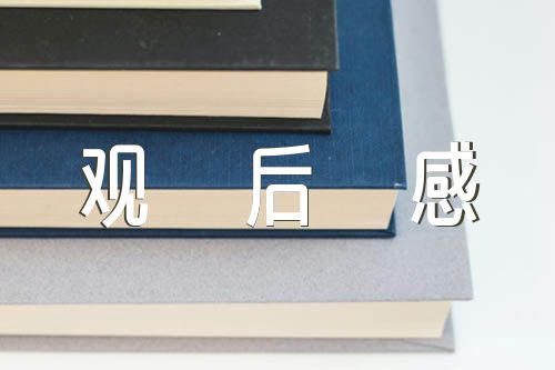 风雨哈佛路观后感精选五篇