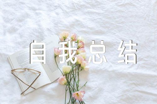 民主评议自我总结集合3篇