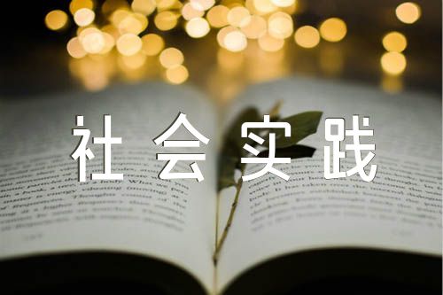 高中社會(huì)實(shí)踐報(bào)告精選六篇
