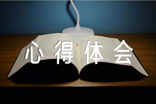 思政课心得体会2000字(合集六篇)