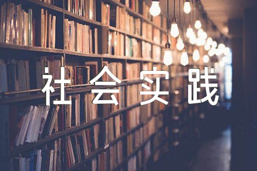 社會(huì)實(shí)踐報(bào)告模板(錦集4篇)