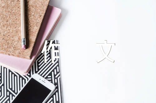 这才是我们的芳华作文600字(通用3篇)