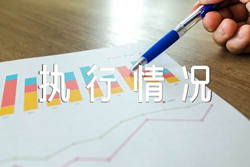 党内法规制度建设执行情况报告【5篇】