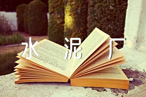 水泥厂个人党性分析精选4篇