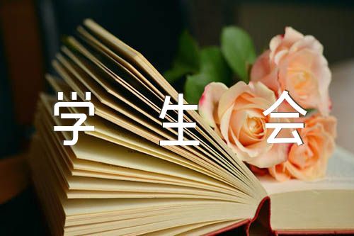 2023年学生会年终个人总结实用精选四篇