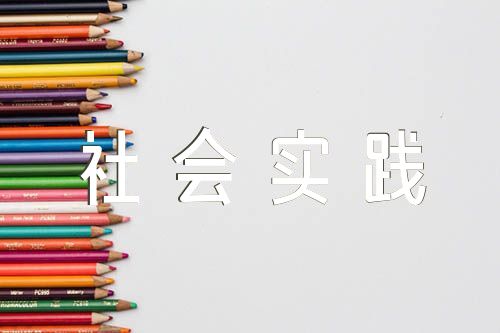 高中社会实践报告精选七篇