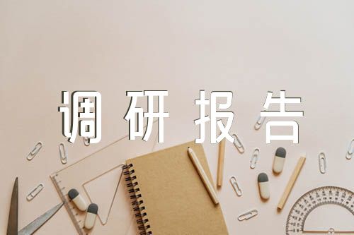 調(diào)研報告與主題教育對比范文(精選5篇)