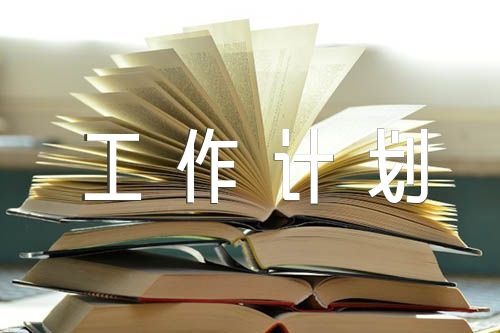 初中语文老师个人工作计划精选九篇