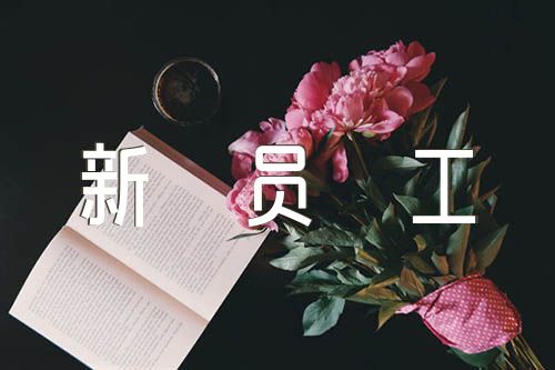 2023年新员工转正个人总结集合4篇