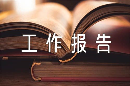 人大常委會(huì)工作報(bào)告討論發(fā)言匯編4篇