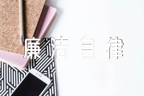 廉洁自律个人总结精选4篇