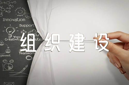 基层党组织建设方面存在的问题及整改措施(锦集7篇)