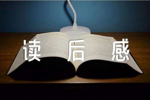社会主义发展简史读后感集合4篇