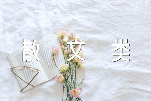 初中语文知识点《文言文阅读》《散文类》强化练习