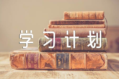 党支部理论学习计划范文(精选6篇)