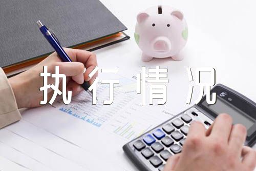 党内法规执行情况的自查报告汇编4篇