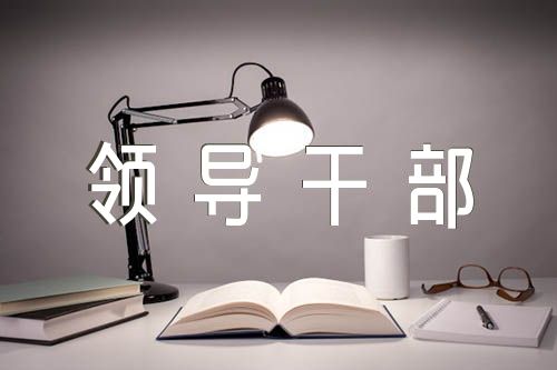 国有企业领导干部述职述廉报告精选四篇