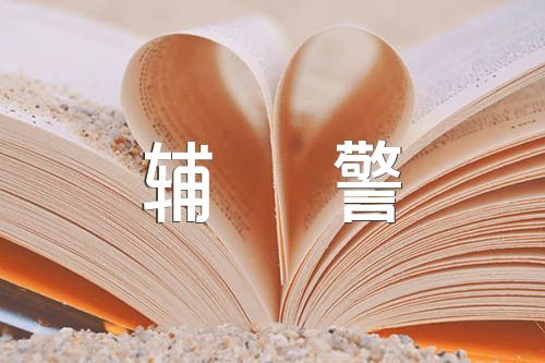 个人总结公安辅警范文(精选4篇)