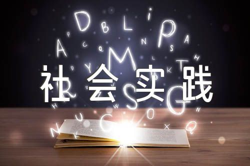 高中社会实践报告范文六篇